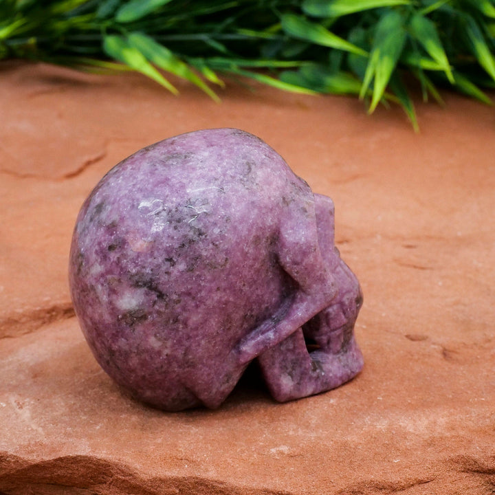 Decorazione teschio di cristallo di lepidolite Olivenorma