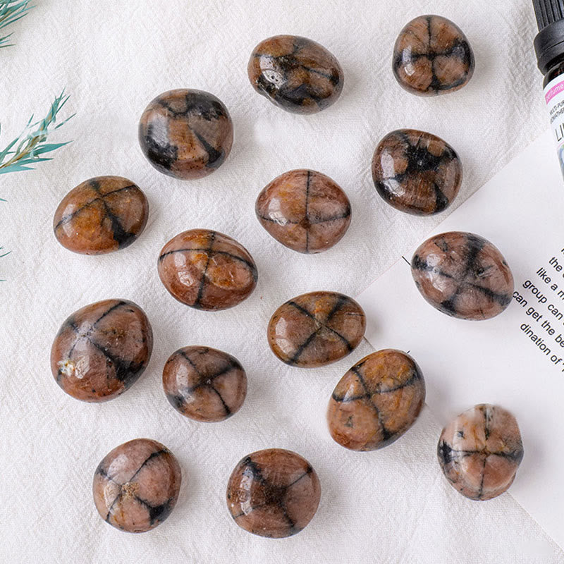 Olivenorma Croce Agata Pietra Naturale Lucida Rolling