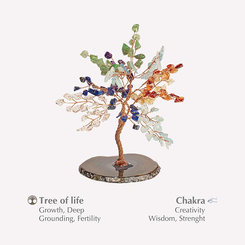 Olivenorma Forza e Crescita Chakra Feng Shui Albero
