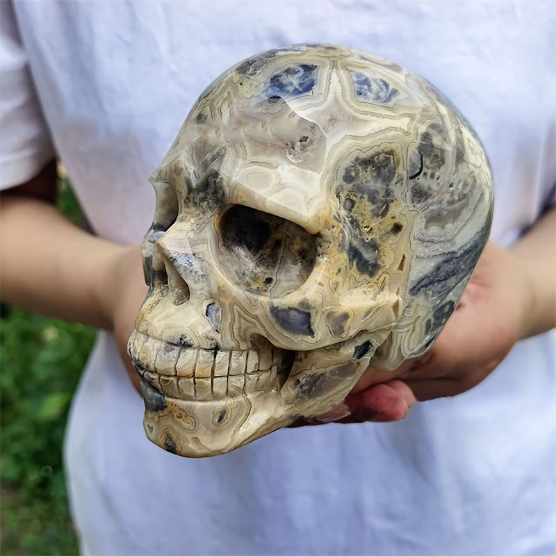 Olivenorma 10cm Decorazione in pietra preziosa di agata pazza naturale teschio di cristallo - image 2