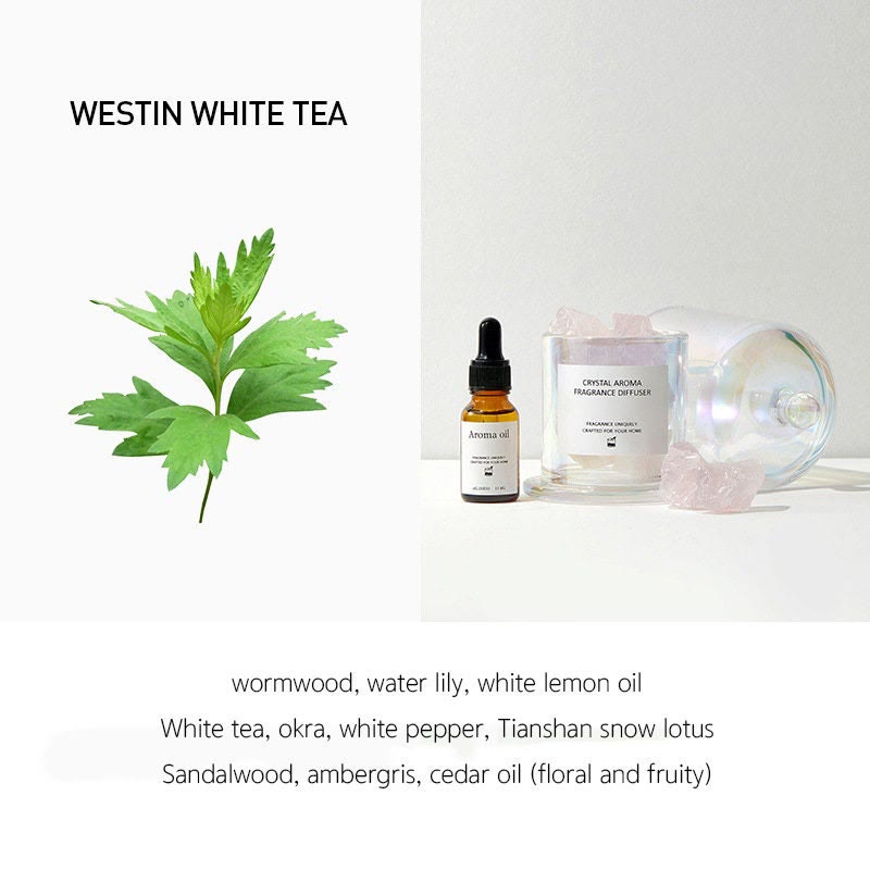 Olivenorma Diffusore di oli profumati Set regalo Aromaterapia di cristallo