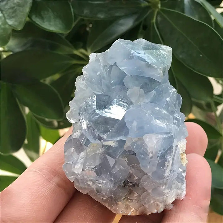 Olivenorma Cluster di cristallo di Celestina naturale irregolare Pietra naturale