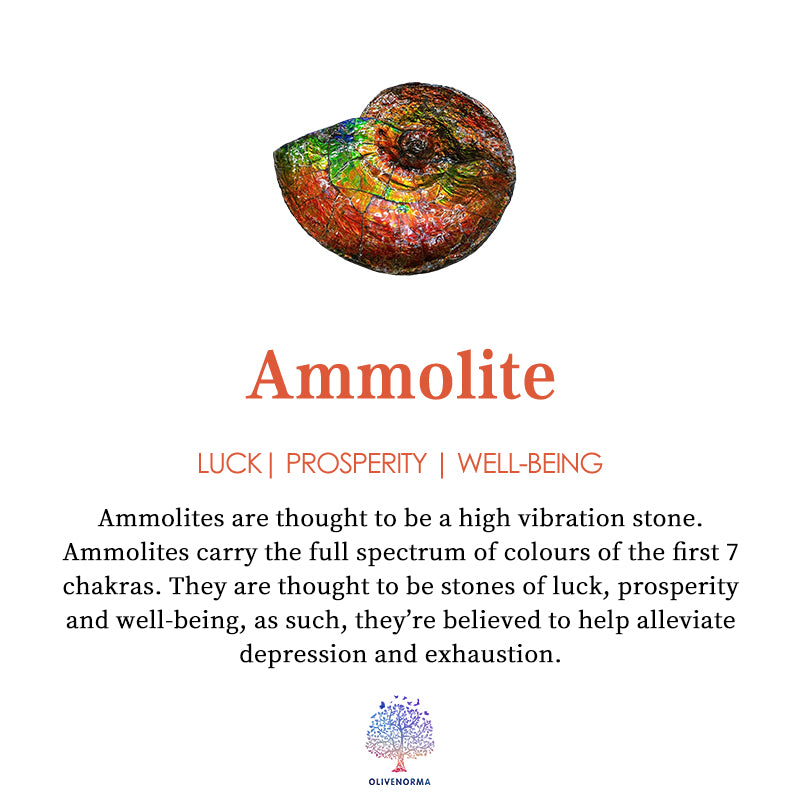 Collana in argento 925 con perle d'acqua dolce e ammolite naturale Olivenorma 