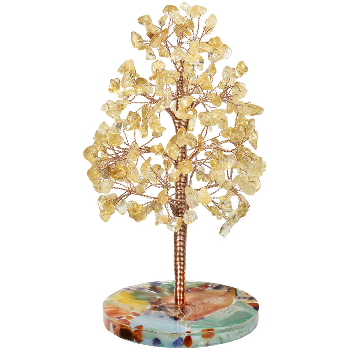 Olivenorma Agata rotonda Pezzo Base Cristallo curativo Feng Shui Albero 