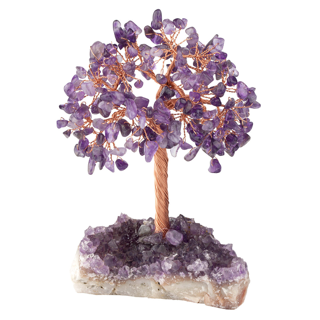 Olivenorma Fiore di Ametista Naturale Base Irregolare Albero Feng Shui 