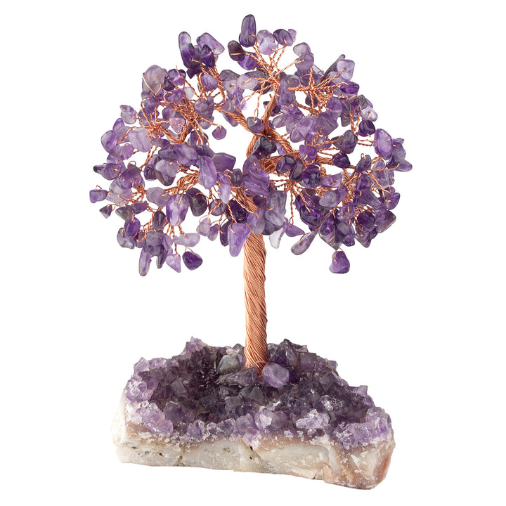 Olivenorma Fiore di Ametista Naturale Base Irregolare Albero Feng Shui 