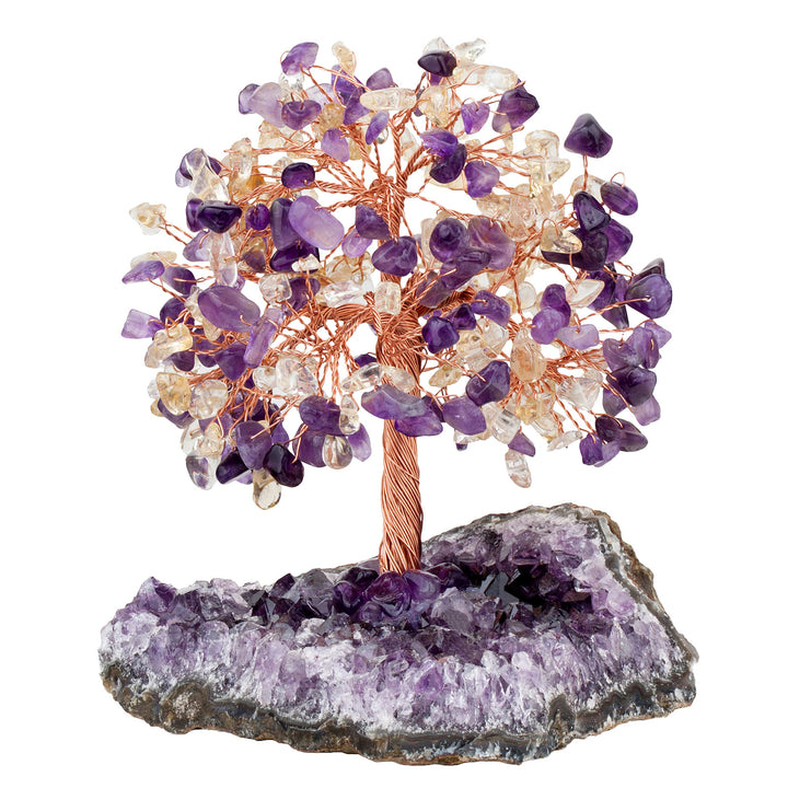 Olivenorma Fiore di Ametista Naturale Base Irregolare Albero Feng Shui 