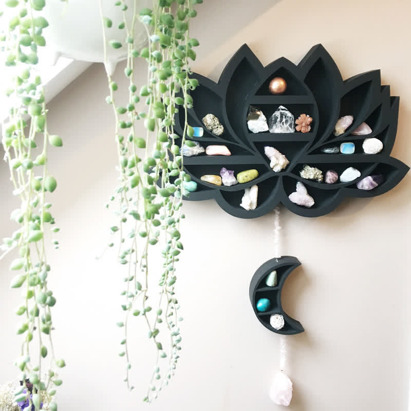 Olivenorma Creative Lotus con mensola in cristallo lunare
