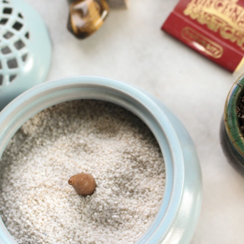 Olivenorma Bruciatore di incenso in ceramica Ciotola per incenso