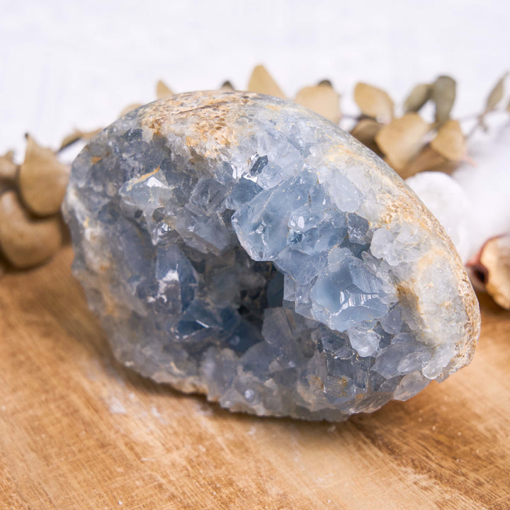 Olivenorma Cristallo curativo naturale Celestino grezzo Geode Rock