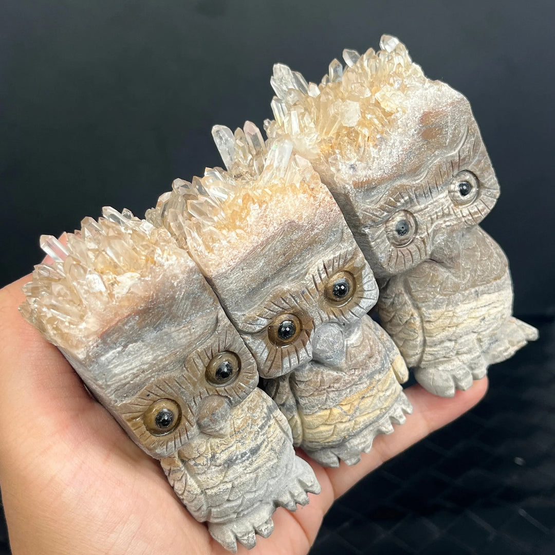 Ornamento gufo in cristallo trasparente Olivenorma , decorazione con pietre preziose