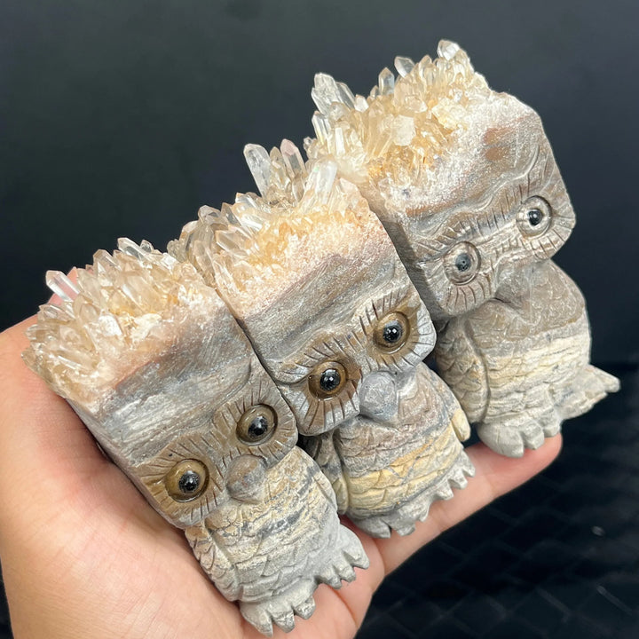 Ornamento gufo in cristallo trasparente Olivenorma , decorazione con pietre preziose