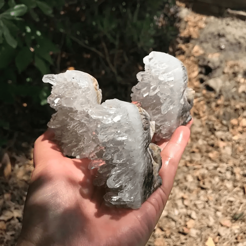 Olivenorma Cluster di cristallo bianco inciso decorazione con pietra preziosa a forma di riccio