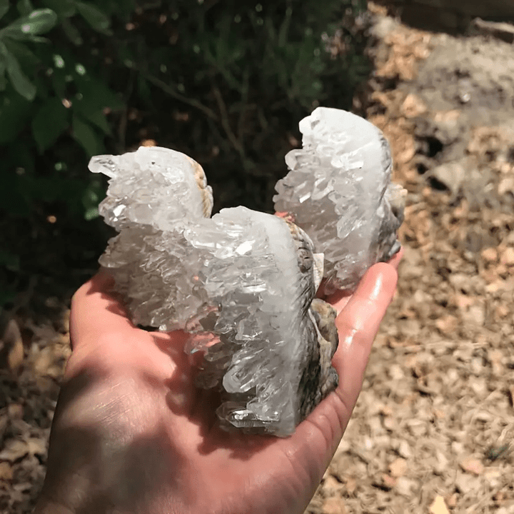 Olivenorma Cluster di cristallo bianco inciso decorazione con pietra preziosa a forma di riccio