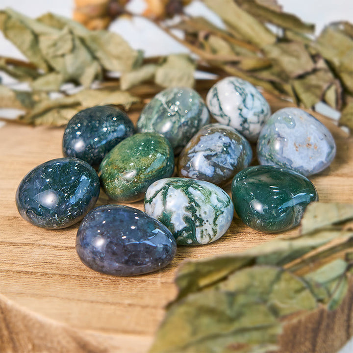 Olivenorma Pietra curativa burattata in agata muschiata naturale reale