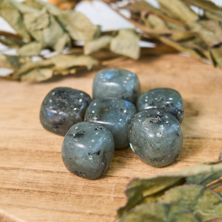 Pietra levigata naturale di labradorite lucidata Olivenorma