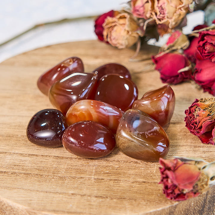 Olivenorma Agata rossa lucidata Pietra levigata alla rinfusa