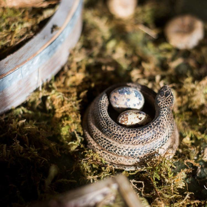 Portacandele realistico a forma di serpente arrotolato Olivenorma