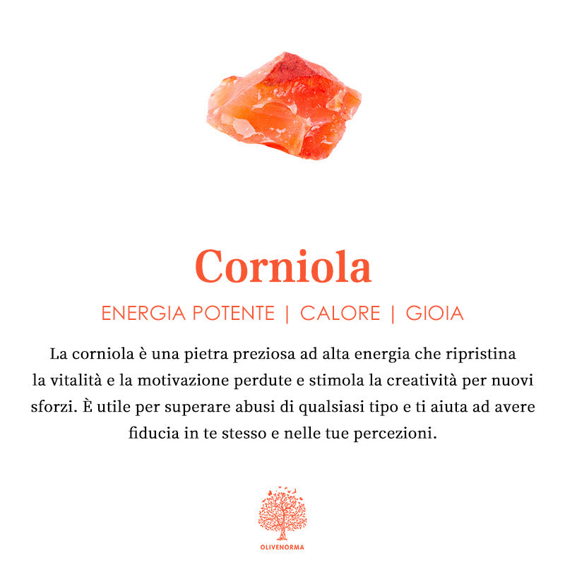 Olivenorma Ametista con Corniola Cancro Zodiac Orgone Piramide 