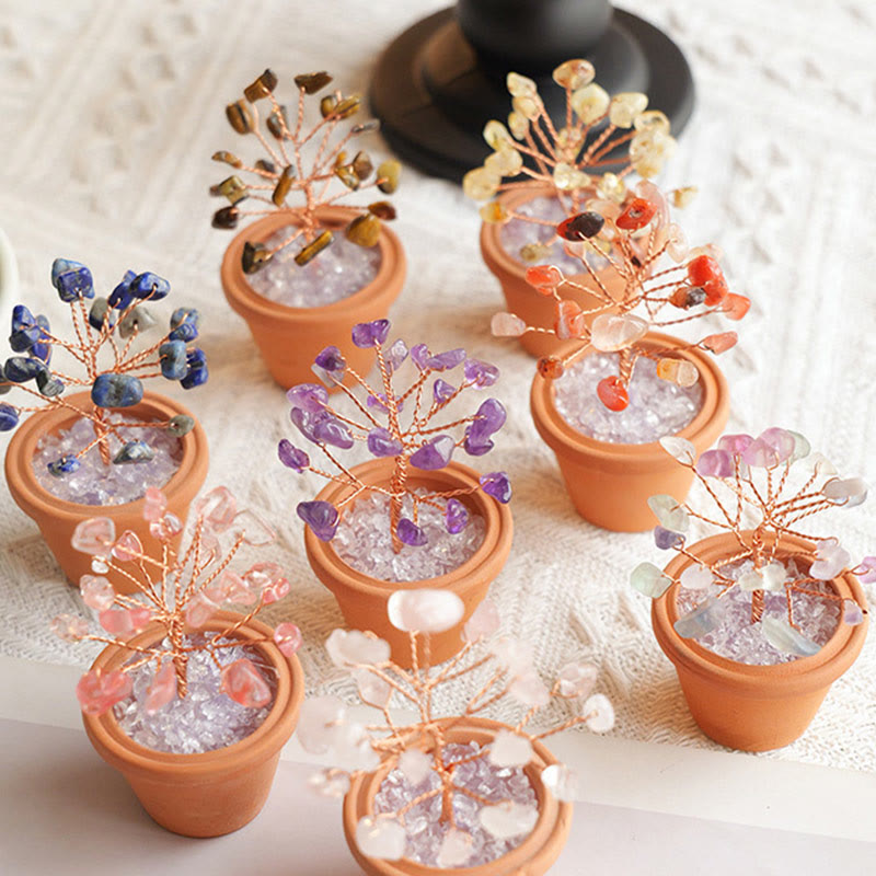 Decorazione in vaso di ceramica con albero della fortuna in ghiaia naturale Olivenorma