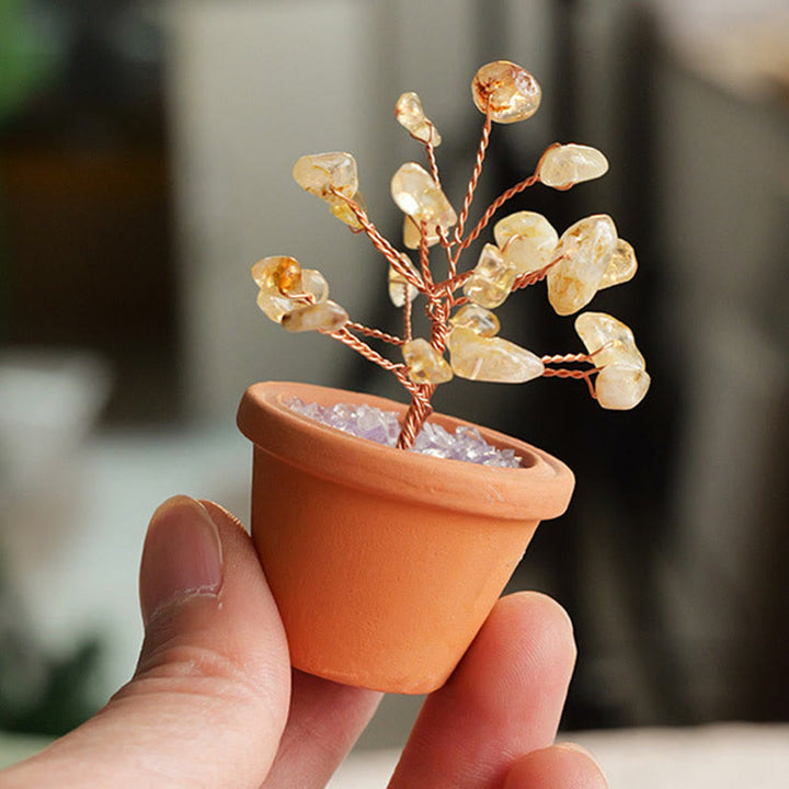 Decorazione in vaso di ceramica con albero della fortuna in ghiaia naturale Olivenorma
