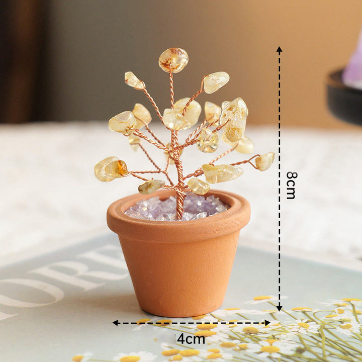 Decorazione in vaso di ceramica con albero della fortuna in ghiaia naturale Olivenorma