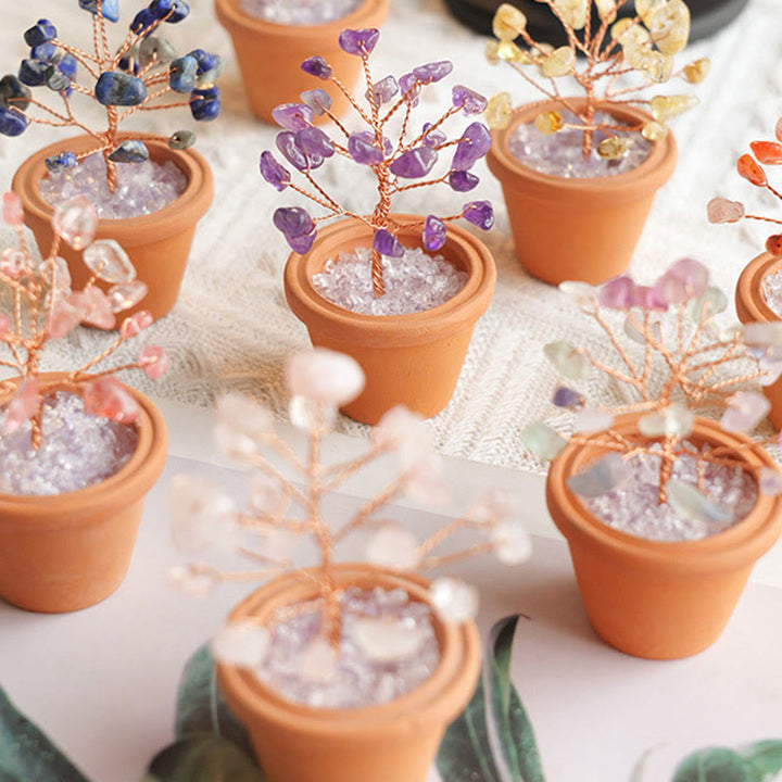 Decorazione in vaso di ceramica con albero della fortuna in ghiaia naturale Olivenorma