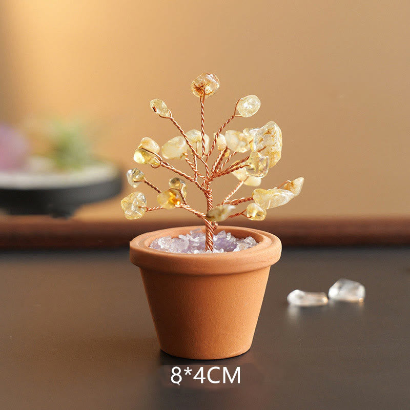 Decorazione in vaso di ceramica con albero della fortuna in ghiaia naturale Olivenorma