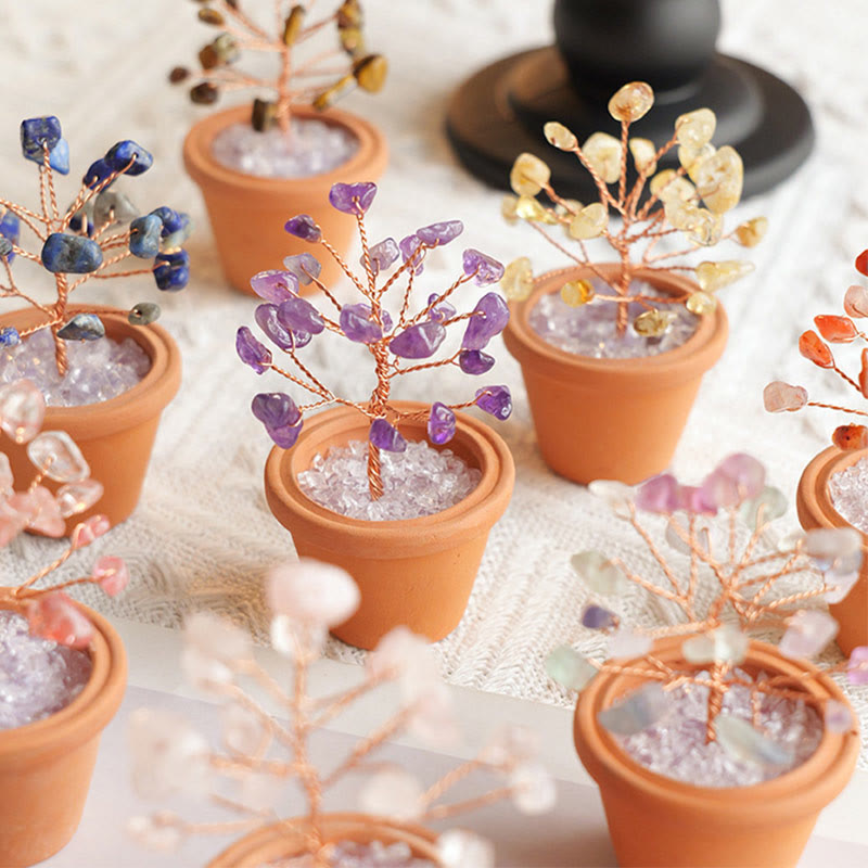 Decorazione in vaso di ceramica con albero della fortuna in ghiaia naturale Olivenorma