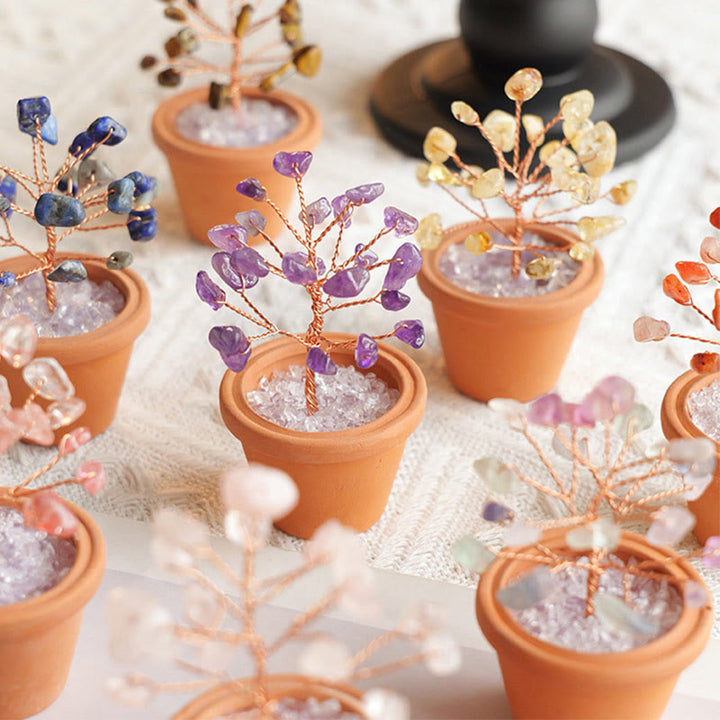Decorazione in vaso di ceramica con albero della fortuna in ghiaia naturale Olivenorma