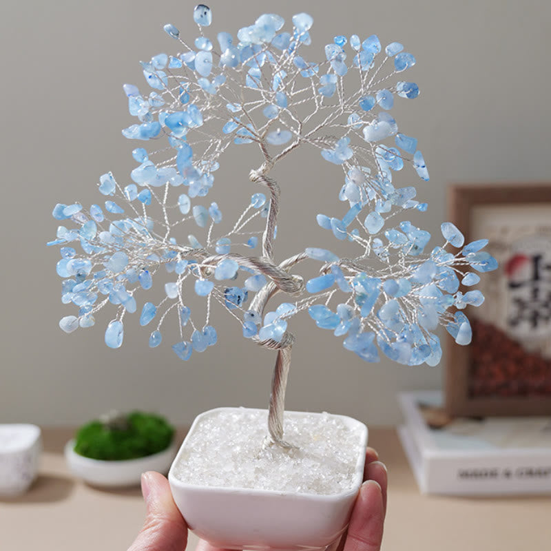 Albero Feng Shui Olivenorma con base in ceramica color acquamarina naturale
