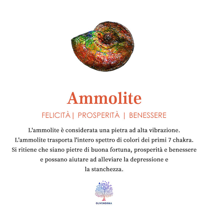 Anello semplice in pietra naturale Olivenorma Francese Nicchia