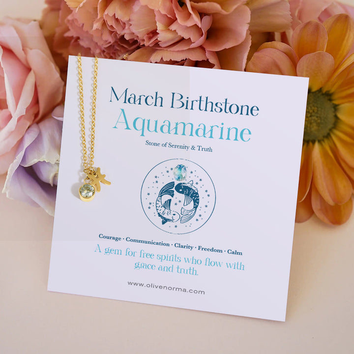 Collana in acciaio inossidabile con runa zodiacale e pietra portafortuna Olivenorma - Marzo/Pesci e Acquamarina - Con la carta zodiacale - image 0