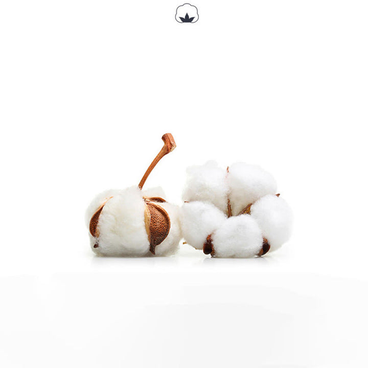 Calzini da yoga antiscivolo senza dita con cavigliera colorata Olivenorma per donna - image 25