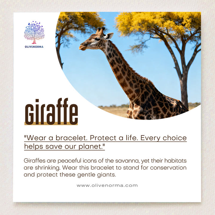 Braccialetto Olivenorma Giraffe Conservation con carta - image 1