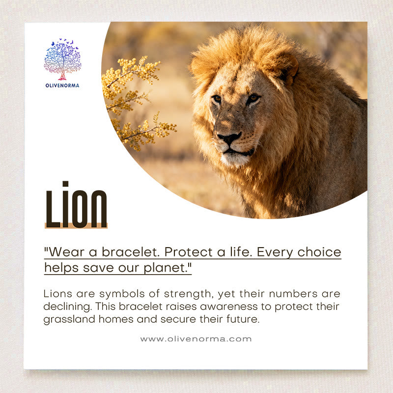 Braccialetto Olivenorma Lion Survival Awareness con carta - image 1