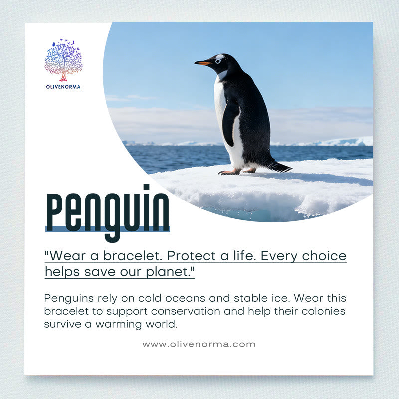 Braccialetto Olivenorma Penguin Habitat Protection con carta - image 1