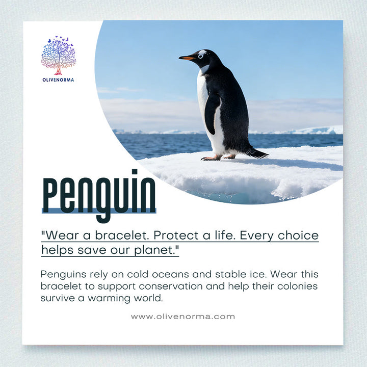 Braccialetto Olivenorma Penguin Habitat Protection con carta - image 1