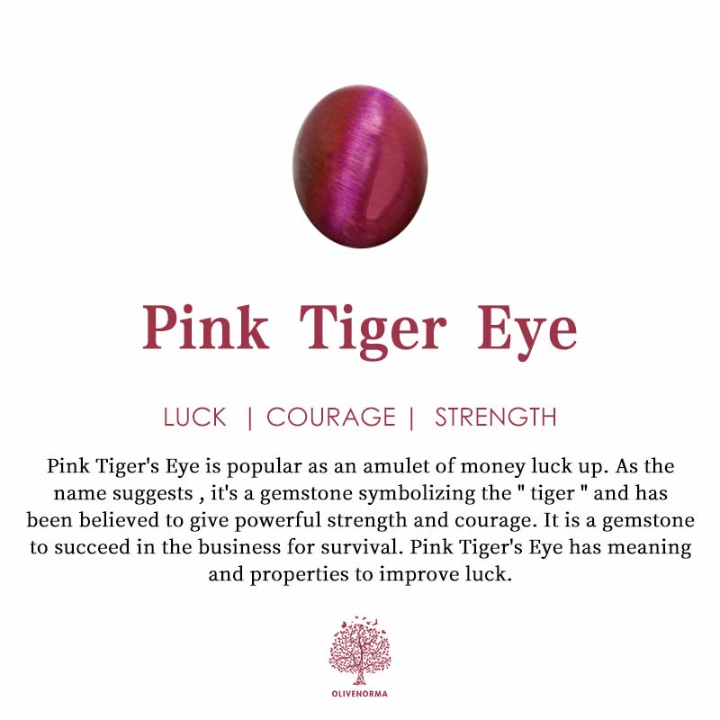 Braccialetto Olivenorma Penguin Habitat Protection con carta - image 14