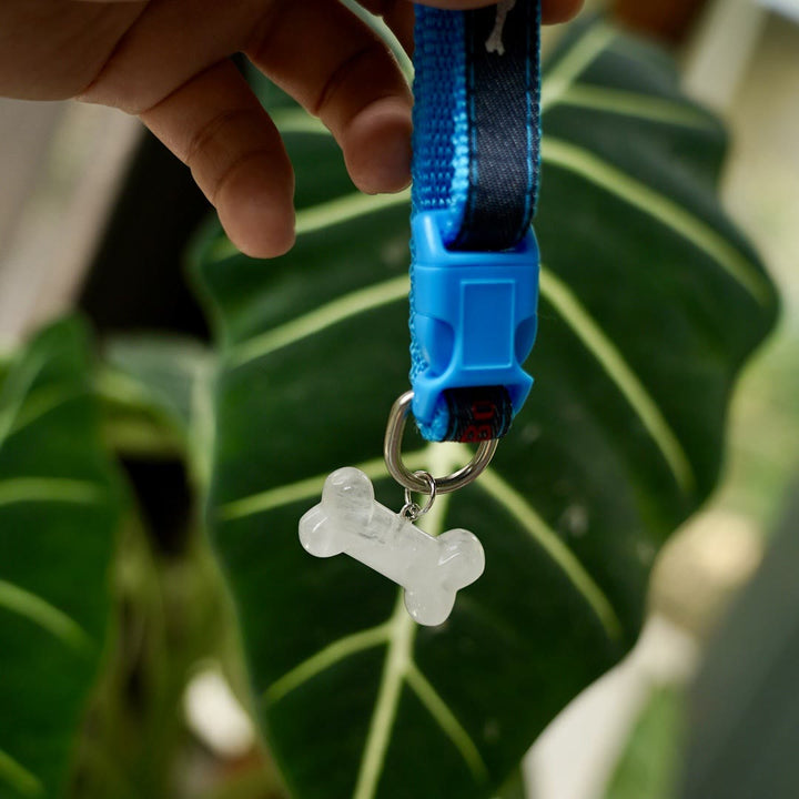 Olivenorma Collare per animali domestici con osso per cani in pietra naturale - Quarzo trasparente - image 4