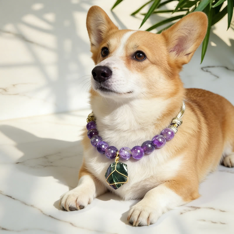 Collare per animali domestici con cristallo calmante per meditazione Olivenorma Ametista e Ossidiana - image 0