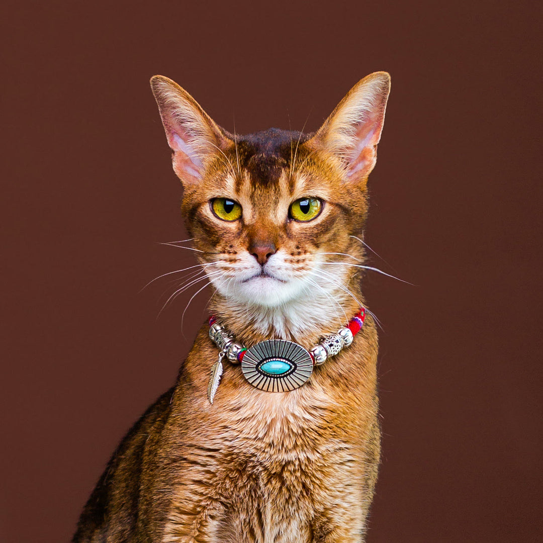 Olivenorma - Collare per animali domestici in stile etnico con cristalli curativi a forma di gattino - Turchese - L(35 cm) - image 0