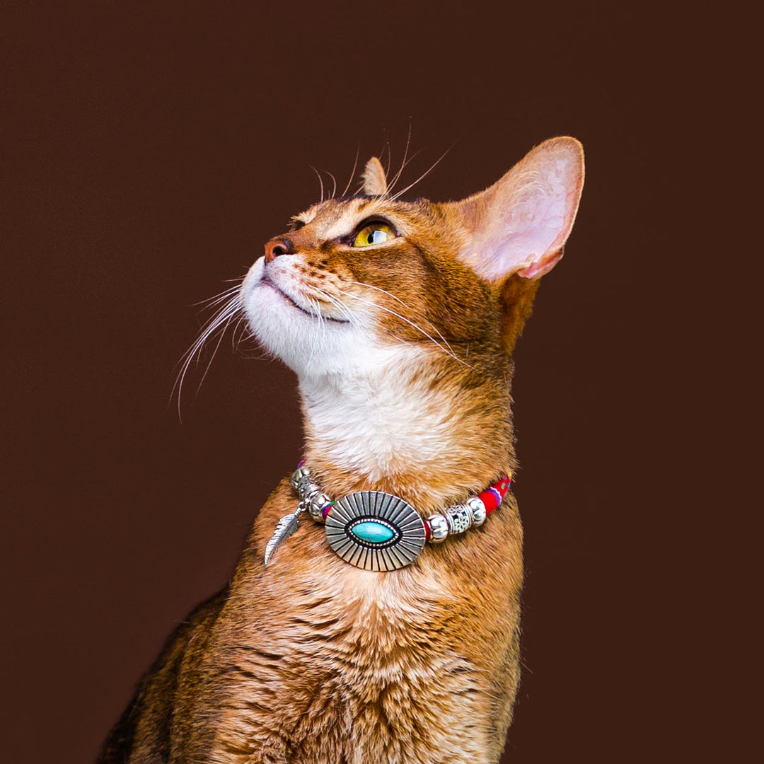 Olivenorma - Collare per animali domestici in stile etnico con cristalli curativi a forma di gattino - image 1