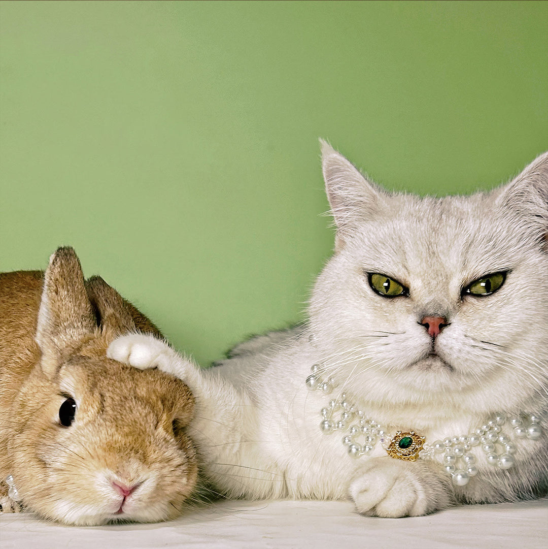 Olivenorma - Collana con collare per animali domestici in stile vintage con perle fatte a mano - image 9