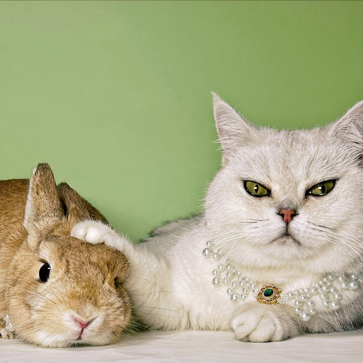 Olivenorma - Collana con collare per animali domestici in stile vintage con perle fatte a mano - image 9