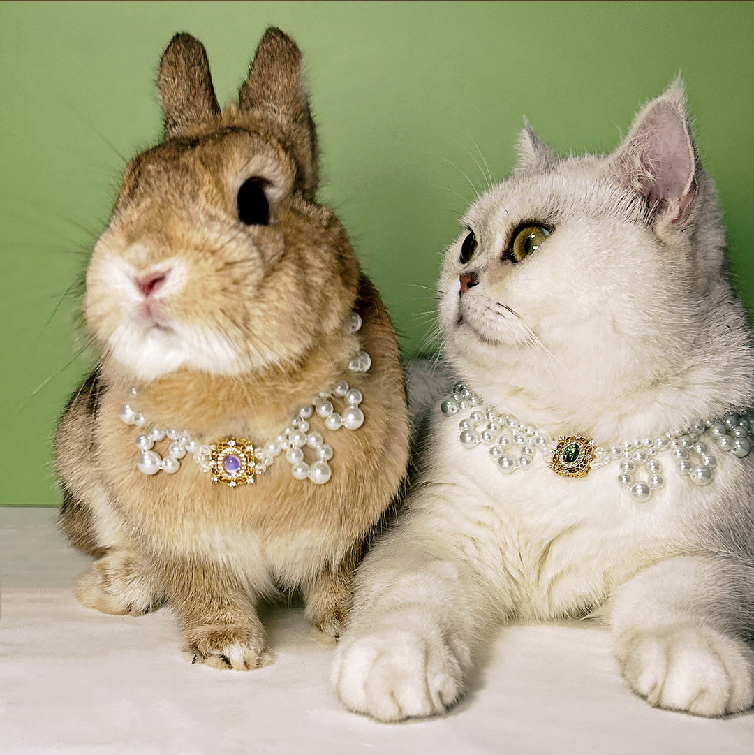 Olivenorma - Collana con collare per animali domestici in stile vintage con perle fatte a mano - image 8