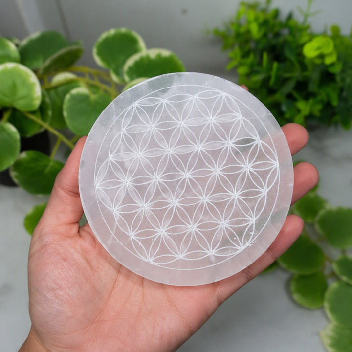 Piastra di ricarica in selenite incisa con il Fiore della Vita Olivenorma - image 2
