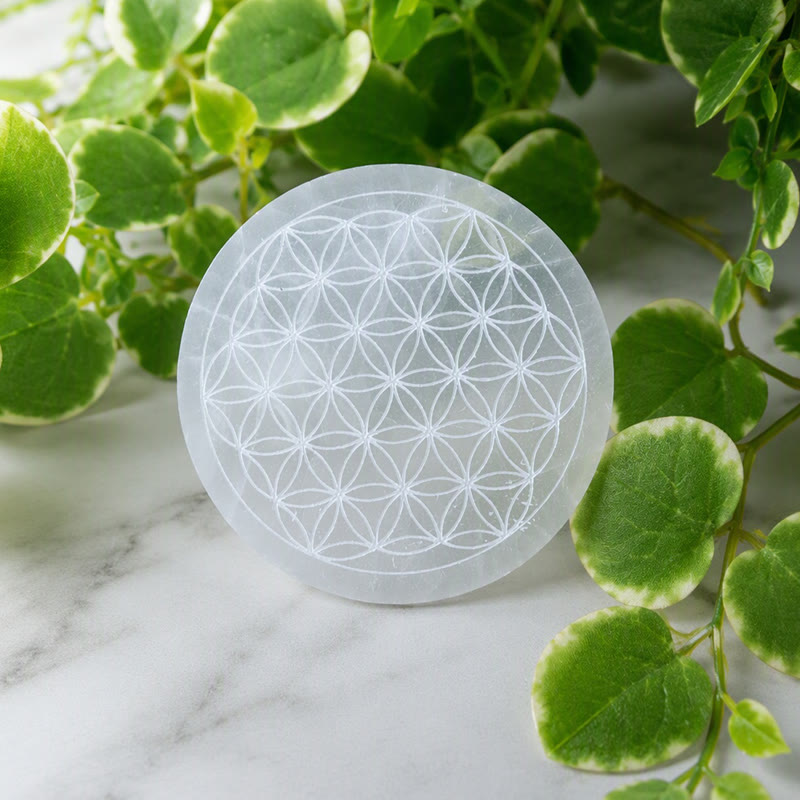 Piastra di ricarica in selenite incisa con il Fiore della Vita Olivenorma - Fiore della Vita - image 0