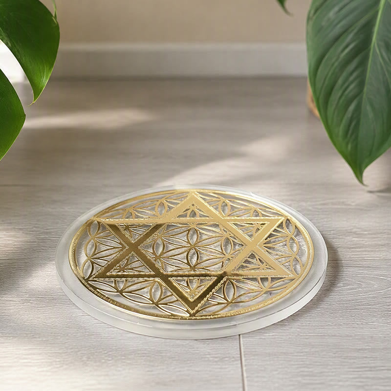Piastra di ricarica in selenite incisa con Fiore della Vita e Stella di David Olivenorma. - image 4