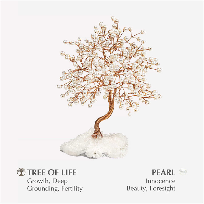 Olivenorma Pure Break - Albero Feng Shui Pietra Perla